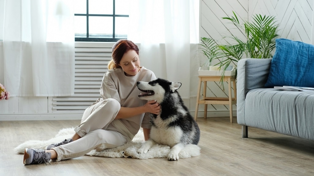 pet loves for cohesive apartment living