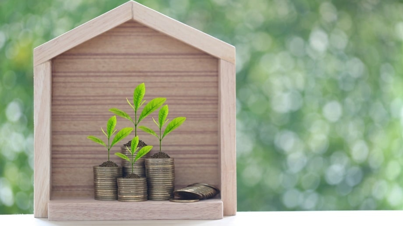 the capital gains of rentvesting