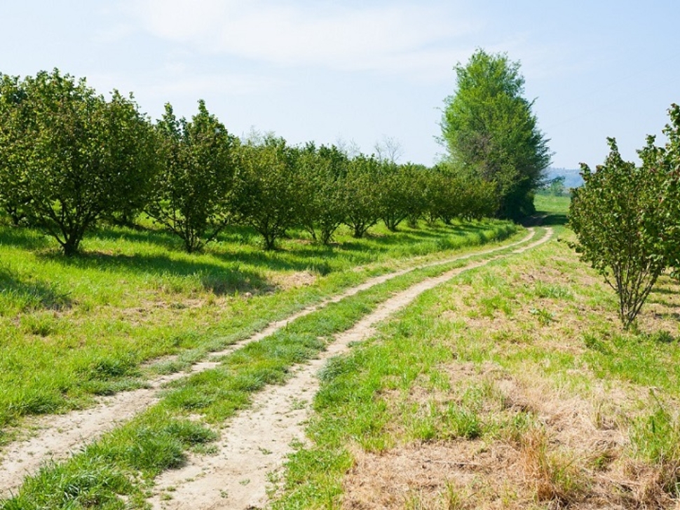 the pressures driving regional property growth